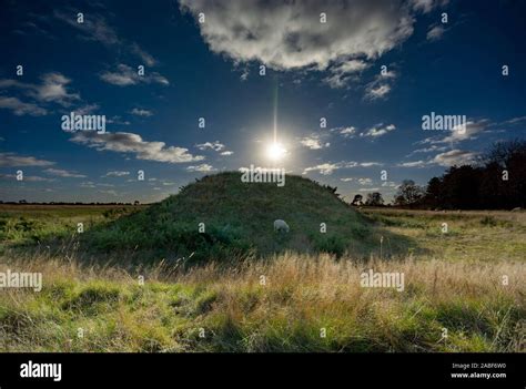 tudor grave robbers|Doctor Dee and the mounds of Sutton Hoo .